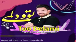 آهنگ جدید سعید نورمحمدی » بنام توو دلمی instagram»saeednourmohammadiofficialpag