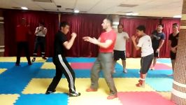 wing tsun