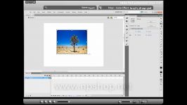 آموزش فلش CS5.5 پیشرفته
