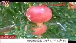 ایج در شبکه 5فارس قسمت دوم