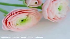 آموزش گل زیبا فوندانت  لوازم قنادی نارمیلا