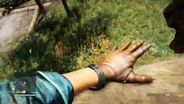 بخش کوچکی حیاط وحش بازی FARCRY4