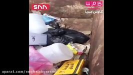 ️عربستان سعودی  نوزادی در سطل آشغال رها شده کاوش مدیا