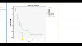 SPSS nominal explanatory variable in the Cox proportio