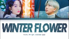 younha winter flower feat rm of BTS lyrics آهنگ گل زمستانی آر ام یونها