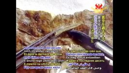 رازگشایی طومارهای دریای مرده + زیرنویس فارسی..قسمت ۱