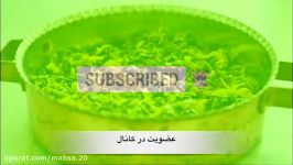طرز تهیه نرگسی اسفناج غذای سنتی اصیل ایرانی210