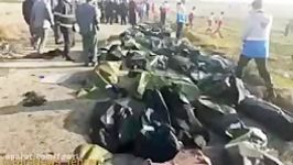اجساد مسافران هواپیمای اوکراینی در نزدیکی فرودگاه خمینی در تهران سقوط کرد