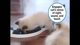 محصولات سری Catit Design Senses تقویت کننده حواس گربه