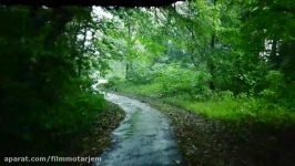 قدم زدن لذت بخش زیر باران در جاده جنگلی