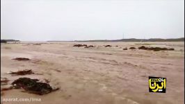 بارش های سیل آسا در سیستان بلوچستان نشانه ای تغییر اقلیم است؟
