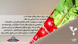 ترب  خواص درمانی ترب   دانش تغذیه