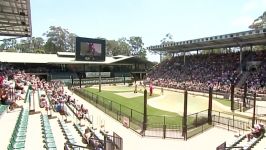 Terri Irwin Citizenship Ceremony