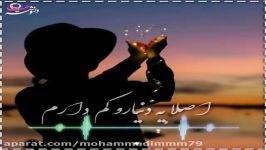 کلیپ عاشقانه بسیار زیبا وقشنگ صدای پویا بیاتی.