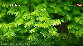 ایران شناسی   038   جنگلهای هیرکانی  استان مازندران  سواد کوه