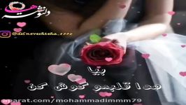 کلیپ عاشقانه بسیار زیبا وعاشقانه صدای امین رستمی.