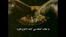 Feather مستند کوتاه پَـر