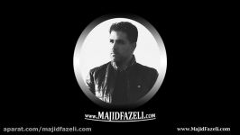 اجرای مجید فاضلی  تهران  آبان 98  www.MajidFazeli.com