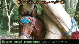 سپر چاربه دار رسانه مجازی مازندران سعید احمدپور