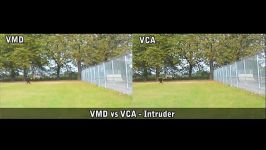 VMD vs  Intruder Trees