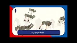 میل شنا تن زیب کد V18