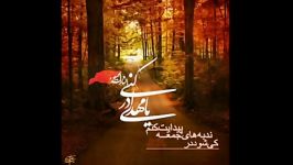 یا اباصالح المهدی ادرکنی