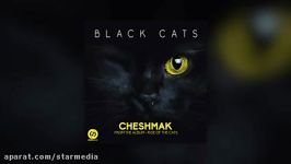 Black Cats  Cheshmak OFFICIAL TRACK    چشمك  بلك كتس240P