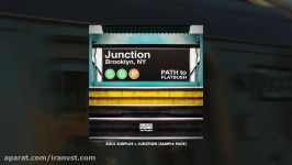Soul Surplus    Junction Sample Pack