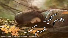 کلیپ عاشقانه... آهنگ عاشقانه...پویا بیاتی