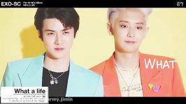 SECHAN    EXO  SC