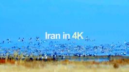 ایرانو 4k ببینید