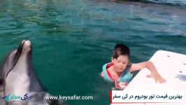 جاذبه های دیدنی بودروم  Bodrum Dolphin Park