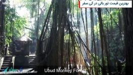 جنگل مقدس میمون ها بالی  Sacred Monkey Forest Sanctuary