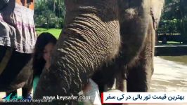 سافاری پارک فیل های بالی  Elephant safari park