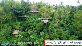 مزارع قهوه پولینای بالی  Bali Pulina Coffee Plantation