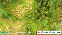 تراس های برنج تگالالند بالی  Tegalalang Rice Terraces