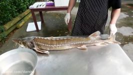 مواد غذایی تایلندی  ماهی خاویاری ماهی چیپس بانکوک غذای دریایی تایلند