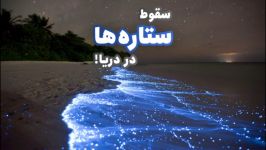 سقوط ستاره ها در دریا ساحل درخشان  Sea of Stars  مالدیو  آژانس ققنوس