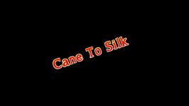 تبدیل عصا به دستمال Cane To Silk