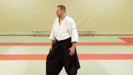 آیکیدو آی کی کای،استفان گوفین aikido stephan goffin