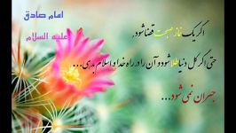 حدیثی تکان دهنده.......