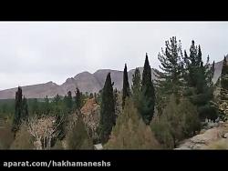 اینجا کرمان  پردیسان قاعم جنگل قاعم کوههای صاحب الزمان شیوشگان. آذر 98