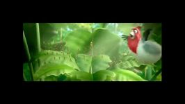 Talents of Amazon.Rio2