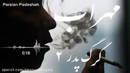 Mehrab  Gorg Pedar 2 آهنگ جدید مهراب به نام گرگ پدر دو