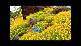 زیبایی های سحرآمیز طبیعت فراز کوه El Teide در اسپانی