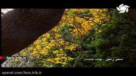 تصاویر بسیار زیبا پاییز دل انگیز بهشت گمشده فارس  شیراز