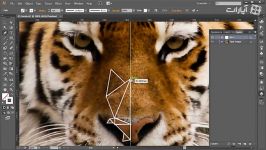 Methods for Creating a Low Poly Portrait in Illustrator