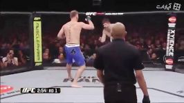 مبارزه یو.اف.سی  Roy Nelson vs. Stipe Miocic