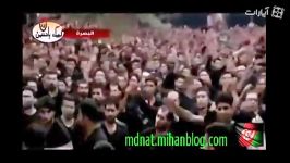 حرکت بسیار زیبا استادانه ملا باسم کربلایی