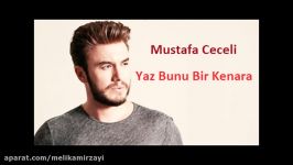 mustafa ceceli  yaz bunu bir kenara